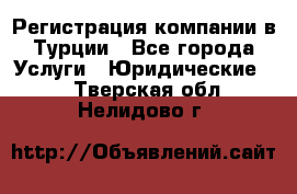 Регистрация компании в Турции - Все города Услуги » Юридические   . Тверская обл.,Нелидово г.